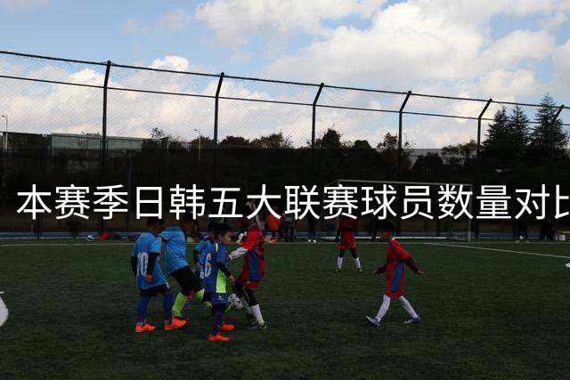 本赛季日韩五大联赛球员数量对比：日本32人，韩国仅剩8人